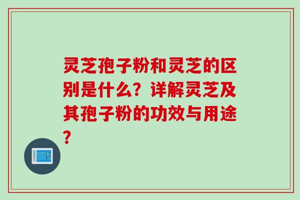 灵芝孢子粉和灵芝的区别是什么?详解灵芝及其孢子粉的功效与用途? 灵芝孢子粉和灵芝的区别是什么?详解灵芝及其孢子粉的功效与用途?