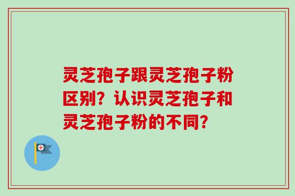 灵芝孢子跟灵芝孢子粉区别?认识灵芝孢子和灵芝孢子粉的不同?