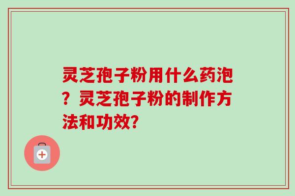 灵芝孢子粉用什么药泡？灵芝孢子粉的制作方法和功效？