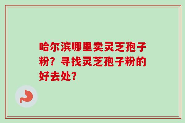 哈尔滨哪里卖灵芝孢子粉?寻找灵芝孢子粉的好去处?