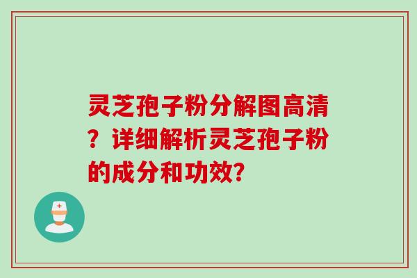 灵芝孢子粉分解图高清?详细解析灵芝孢子粉的成分和功效?