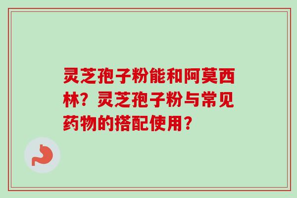 灵芝孢子粉能和阿莫西林？灵芝孢子粉与常见药物的搭配使用？