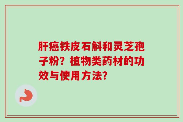肝癌铁皮石斛和灵芝孢子粉?植物类药材的功效与使用方法?