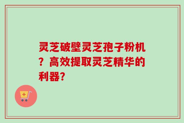 灵芝破壁灵芝孢子粉机?高效提取灵芝精华的利器?