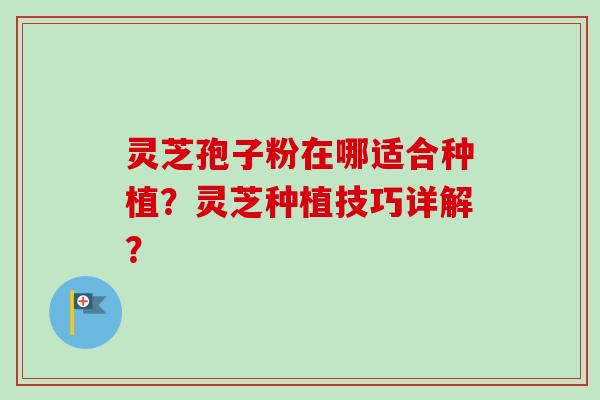 灵芝孢子粉在哪适合种植？灵芝种植技巧详解？