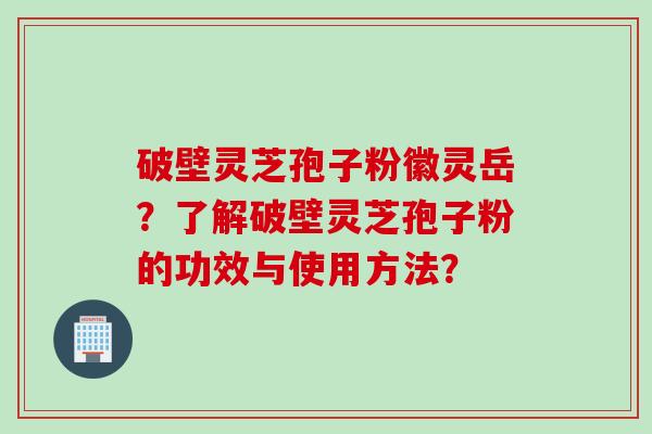 破壁灵芝孢子粉徽灵岳?了解破壁灵芝孢子粉的功效与使用方法? 破壁灵芝孢子粉徽灵岳?了解破壁灵芝孢子粉的功效与使用方法?
