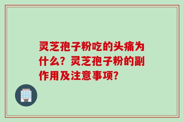 灵芝孢子粉吃的头痛为什么?灵芝孢子粉的副作用及注意事项?