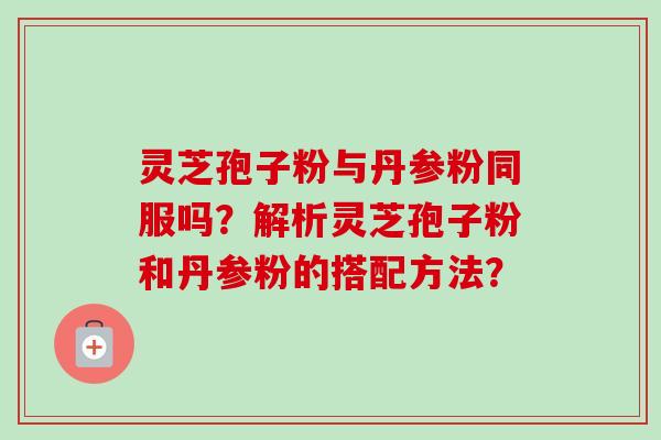 灵芝孢子粉与丹参粉同服吗?解析灵芝孢子粉和丹参粉的搭配方法?
