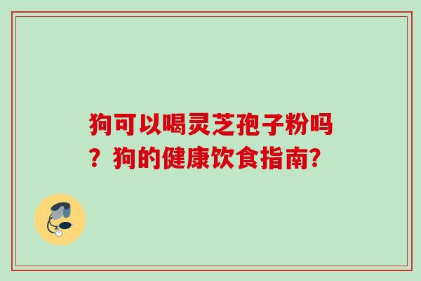 狗可以喝灵芝孢子粉吗?狗的健康饮食指南?