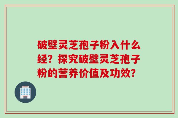 破壁灵芝孢子粉入什么经？探究破壁灵芝孢子粉的营养价值及功效？