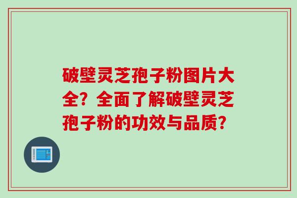 破壁灵芝孢子粉图片大全？全面了解破壁灵芝孢子粉的功效与品质？