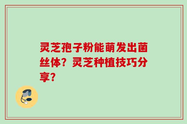 灵芝孢子粉能萌发出菌丝体？灵芝种植技巧分享？