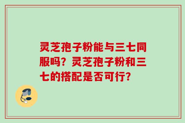 灵芝孢子粉能与三七同服吗？灵芝孢子粉和三七的搭配是否可行？