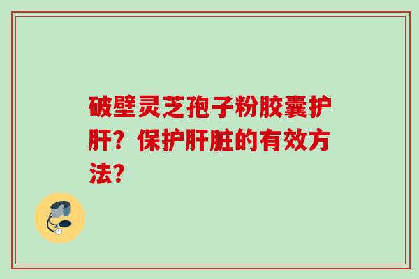 破壁灵芝孢子粉胶囊护肝?保护肝脏的有效方法?