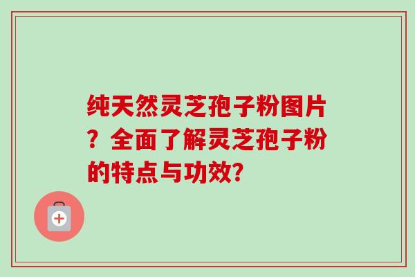 纯天然灵芝孢子粉图片?全面了解灵芝孢子粉的特点与功效?