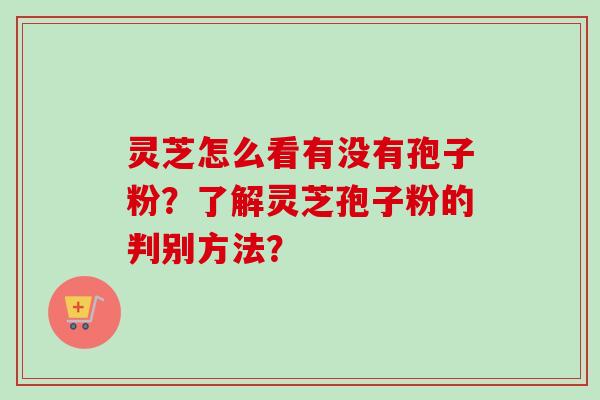 灵芝怎么看有没有孢子粉?了解灵芝孢子粉的判别方法?