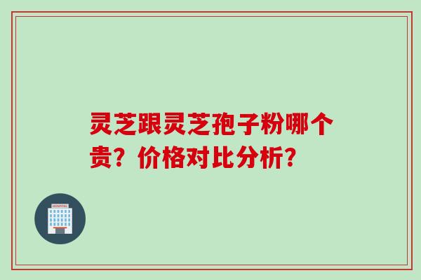 灵芝跟灵芝孢子粉哪个贵?价格对比分析?