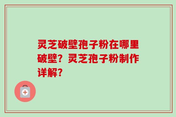 灵芝破壁孢子粉在哪里破壁?灵芝孢子粉制作详解?