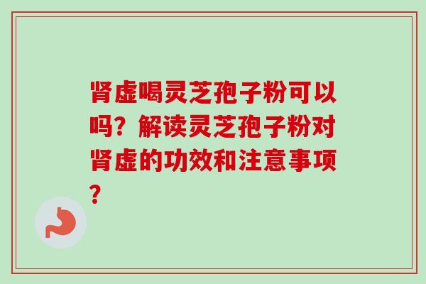 肾虚喝灵芝孢子粉可以吗?解读灵芝孢子粉对肾虚的功效和注意事项?