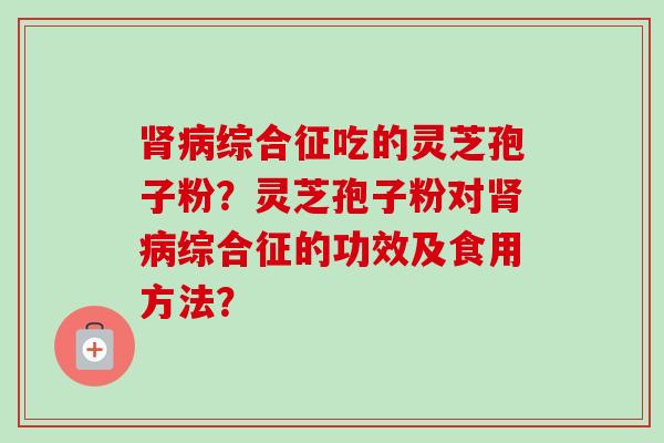 肾病综合征吃的灵芝孢子粉？灵芝孢子粉对肾病综合征的功效及食用方法？