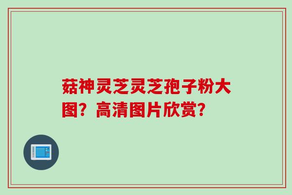 菇神灵芝灵芝孢子粉大图?高清图片欣赏? 菇神灵芝灵芝孢子粉大图?高清图片欣赏?