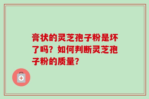 膏状的灵芝孢子粉是坏了吗？如何判断灵芝孢子粉的质量？