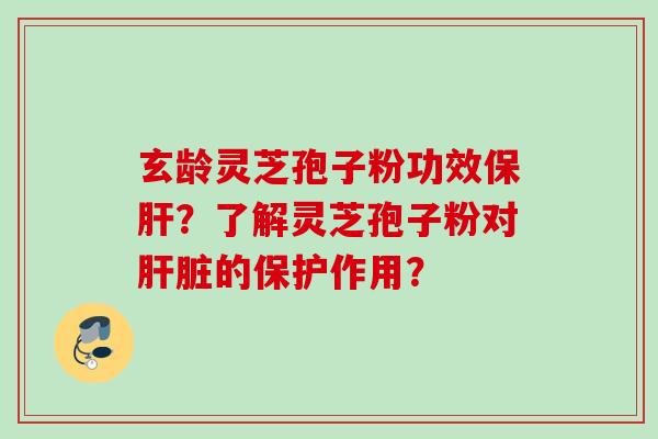 玄龄灵芝孢子粉功效?了解灵芝孢子粉对的保护作用? 玄龄灵芝孢子粉功效?了解灵芝孢子粉对的保护作用?