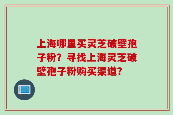 上海哪里买灵芝破壁孢子粉?寻找上海灵芝破壁孢子粉购买渠道?