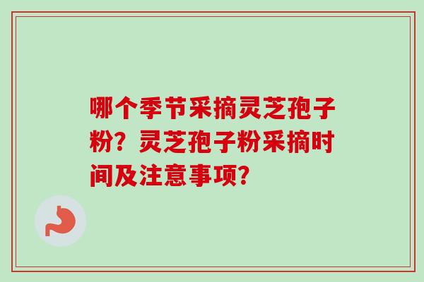 哪个季节采摘灵芝孢子粉?灵芝孢子粉采摘时间及注意事项?