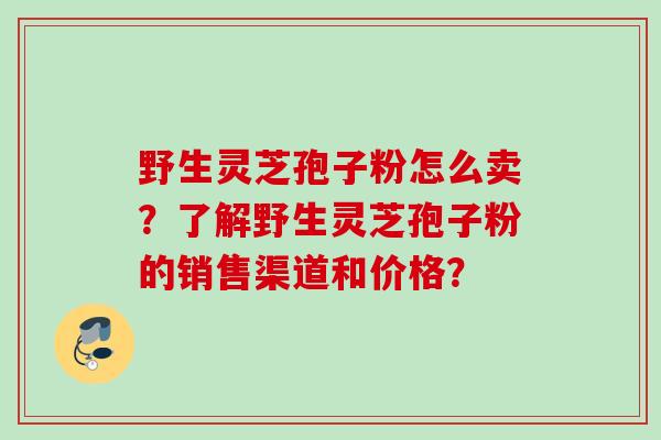 野生灵芝孢子粉怎么卖？了解野生灵芝孢子粉的销售渠道和价格？