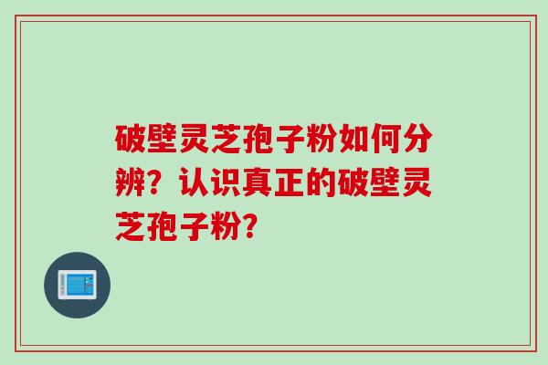 破壁灵芝孢子粉如何分辨?认识真正的破壁灵芝孢子粉?