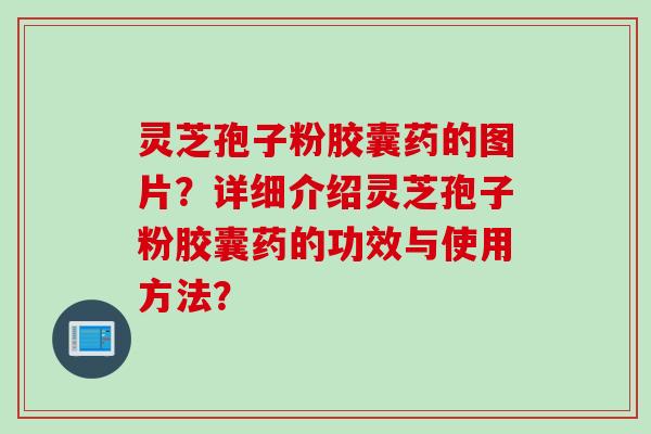 灵芝孢子粉胶囊药的图片?详细介绍灵芝孢子粉胶囊药的功效与使用方法?