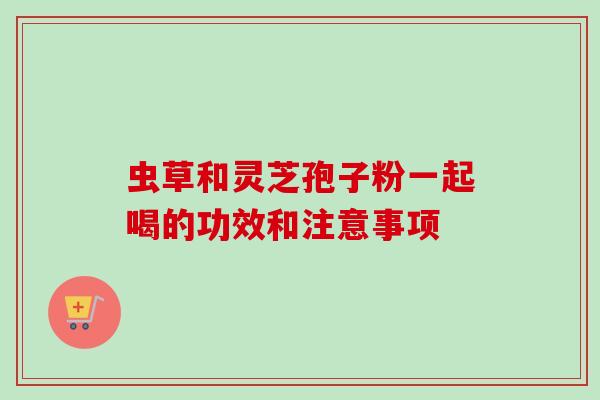 虫草和灵芝孢子粉一起喝的功效和注意事项