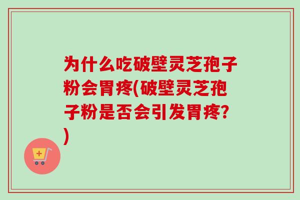为什么吃破壁灵芝孢子粉会胃疼(破壁灵芝孢子粉是否会引发胃疼?)