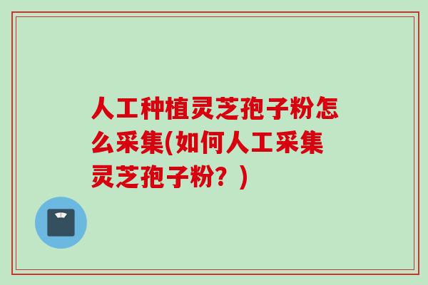 人工种植灵芝孢子粉怎么采集(如何人工采集灵芝孢子粉？)