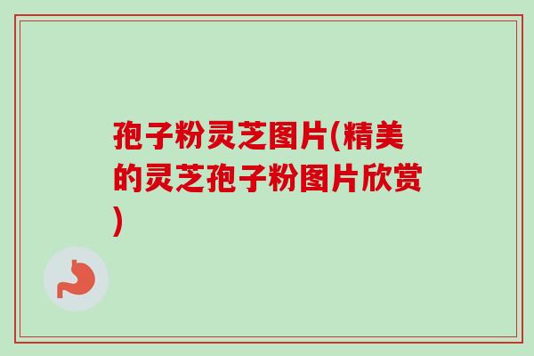 孢子粉灵芝图片(精美的灵芝孢子粉图片欣赏)