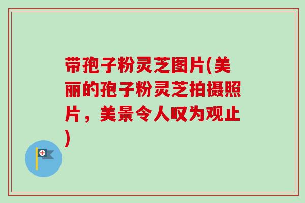 带孢子粉灵芝图片(美丽的孢子粉灵芝拍摄照片，美景令人叹为观止)