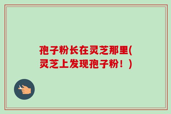 孢子粉长在灵芝那里(灵芝上发现孢子粉!)