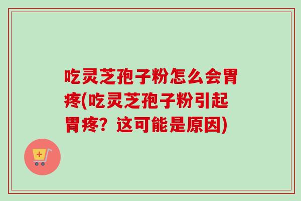 吃灵芝孢子粉怎么会胃疼(吃灵芝孢子粉引起胃疼？这可能是原因)