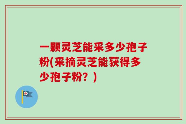 一颗灵芝能采多少孢子粉(采摘灵芝能获得多少孢子粉？)
