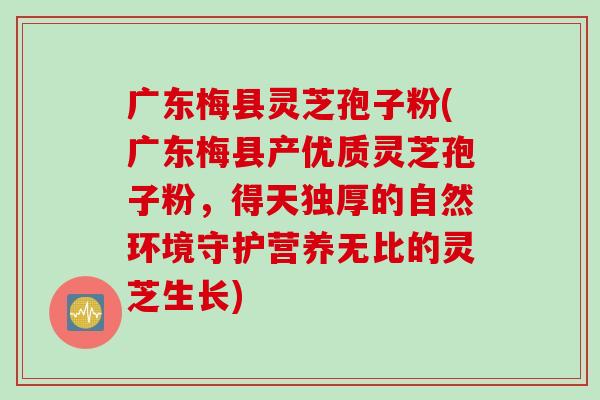 广东梅县灵芝孢子粉(广东梅县产优质灵芝孢子粉，得天独厚的自然环境守护营养无比的灵芝生长)