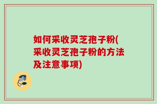 如何采收灵芝孢子粉(采收灵芝孢子粉的方法及注意事项)