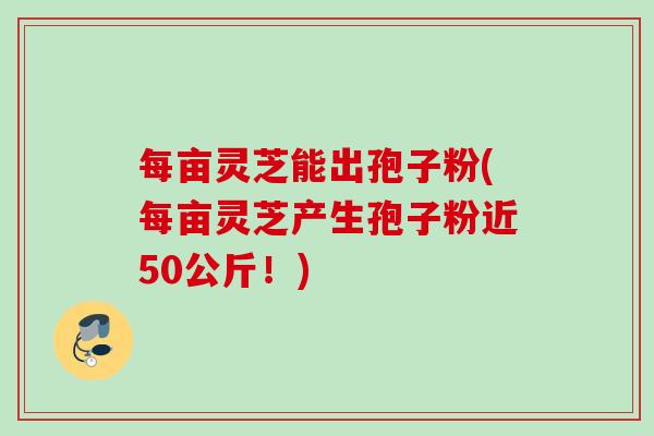 每亩灵芝能出孢子粉(每亩灵芝产生孢子粉近50公斤！)