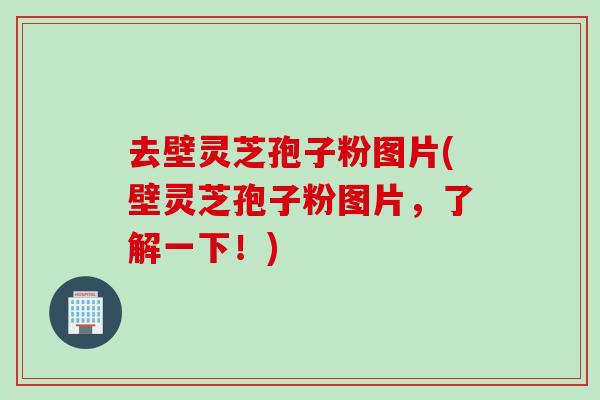 去壁灵芝孢子粉图片(壁灵芝孢子粉图片，了解一下！)