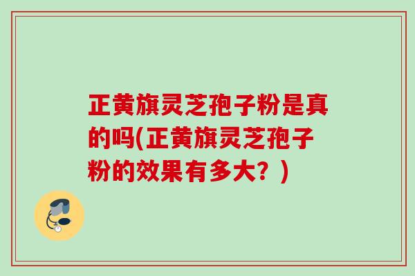 正黄旗灵芝孢子粉是真的吗(正黄旗灵芝孢子粉的效果有多大?) 正黄旗灵芝孢子粉是真的吗(正黄旗灵芝孢子粉的效果有多大?)