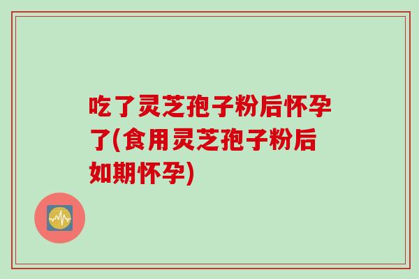 吃了灵芝孢子粉后怀孕了(食用灵芝孢子粉后如期怀孕)