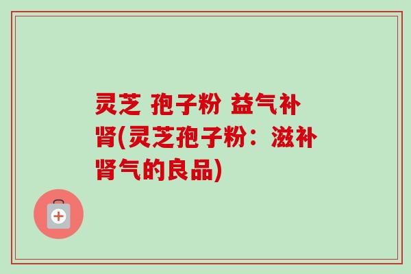 灵芝 孢子粉 益气补肾(灵芝孢子粉:滋补肾气的良品)