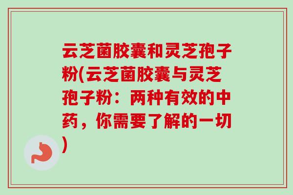 云芝菌胶囊和灵芝孢子粉(云芝菌胶囊与灵芝孢子粉：两种有效的中药，你需要了解的一切)