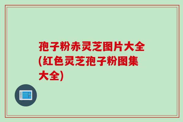 孢子粉赤灵芝图片大全(红色灵芝孢子粉图集大全)