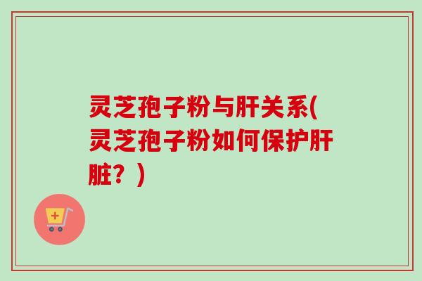 灵芝孢子粉与肝关系(灵芝孢子粉如何保护肝脏？)